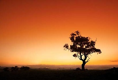 Fototapeta Horizont 4082